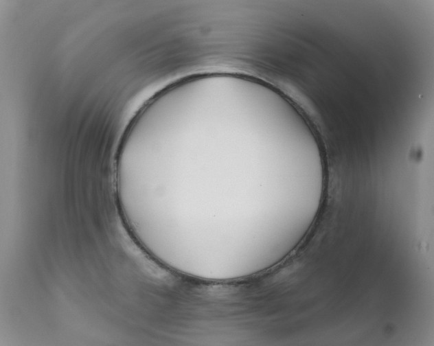 X0000112391380200909101400