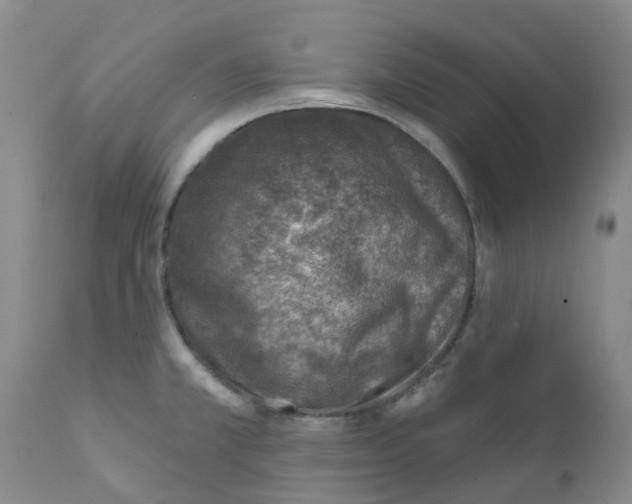 X0000112391381200909101400