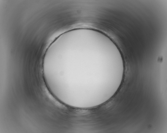 X0000112391382200909101400