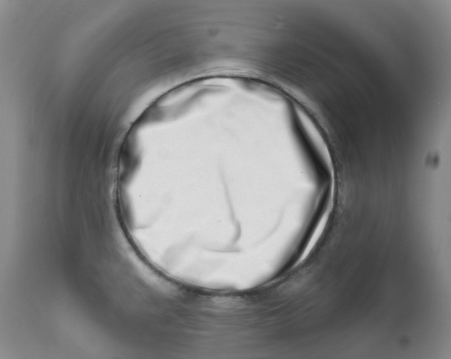 X0000112391383200909101400