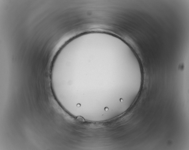 X0000112391384200909101400