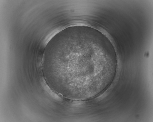 X0000112391385200909101400