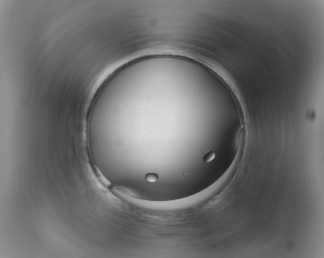 X0000112391388200909101400
