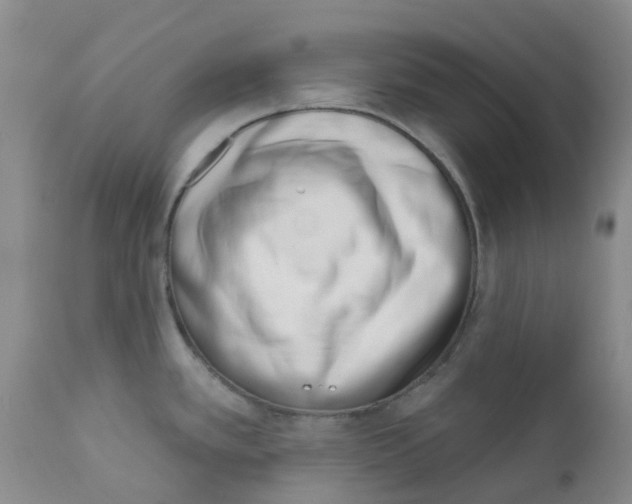 X0000112391389200909101400