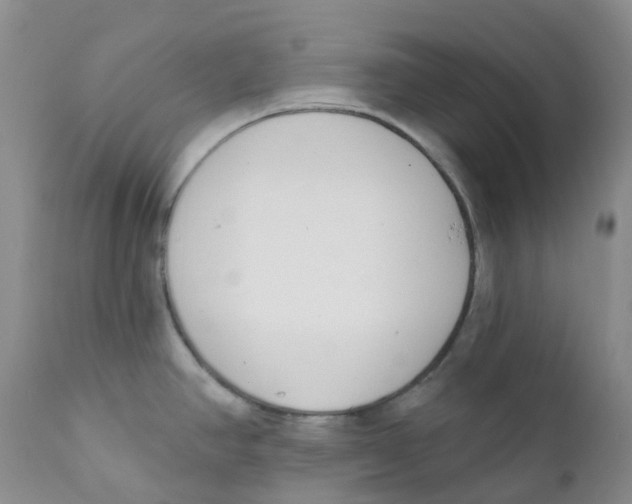 X0000112391390200909101400