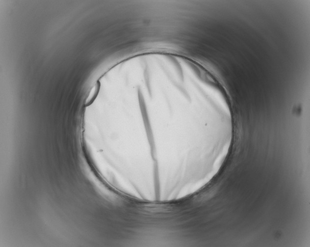 X0000112391391200909101400