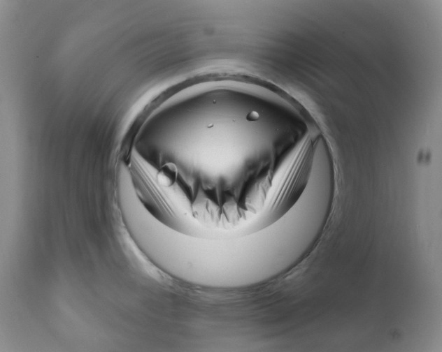 X0000112391392200909101400