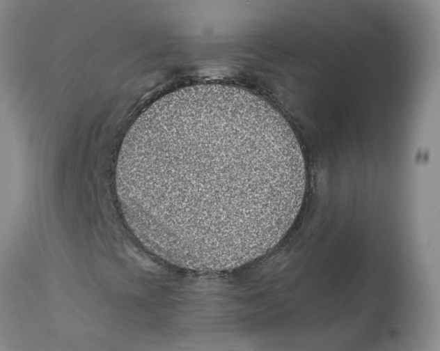 X0000112391393200909101359