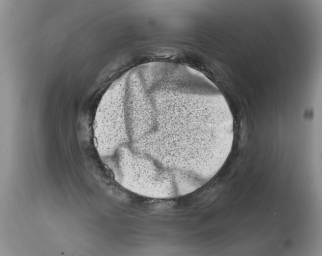 X0000112391394200909101359