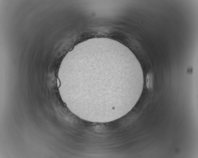 X0000112391395200909101359