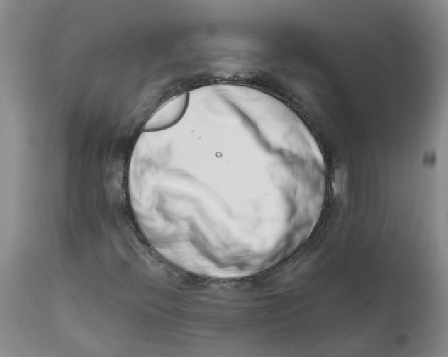 X0000112391396200909101359