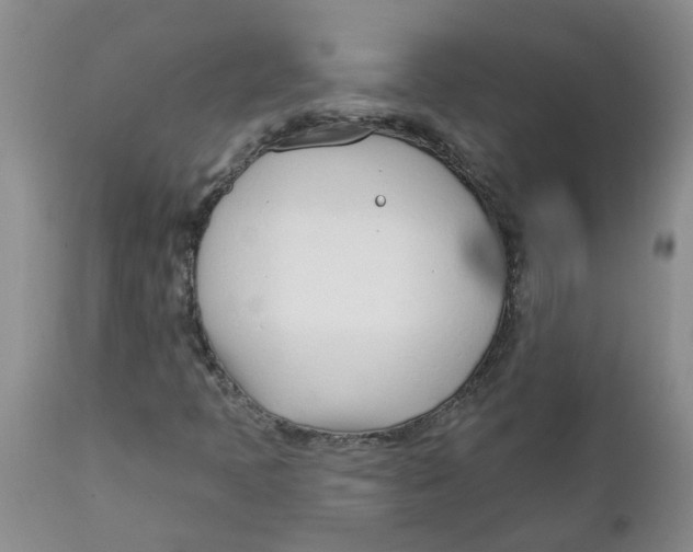 X0000112391397200909101359