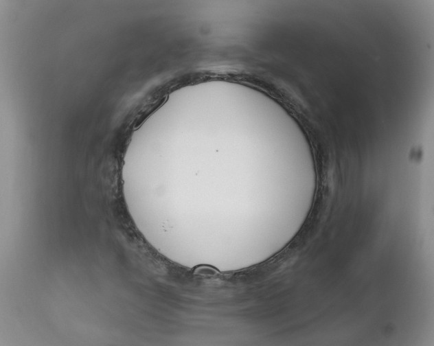 X0000112391398200909101359