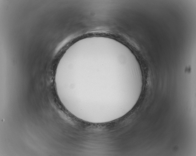 X0000112391400200909101359
