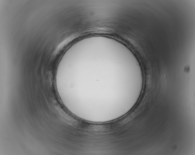 X0000112391402200909101359