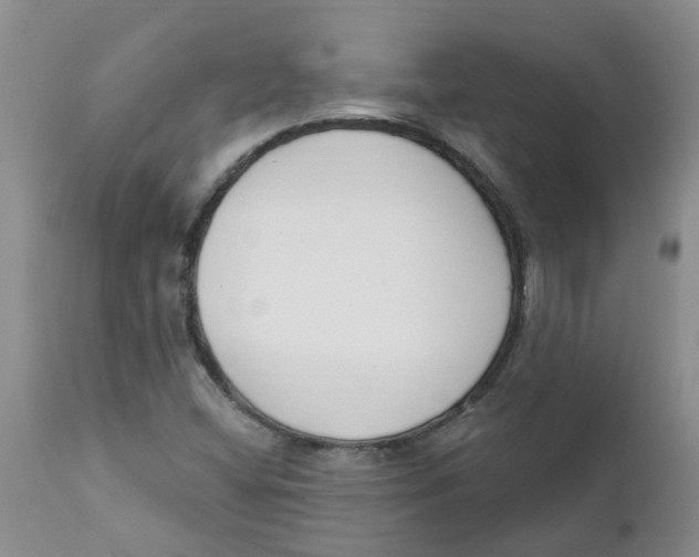X0000112391404200909101359