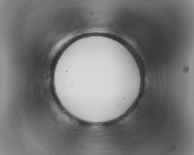 X0000112391406200909101359