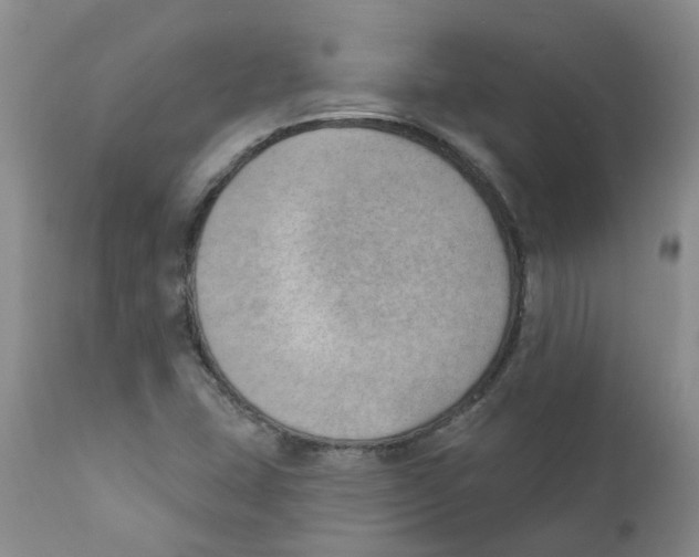 X0000112391407200909101359