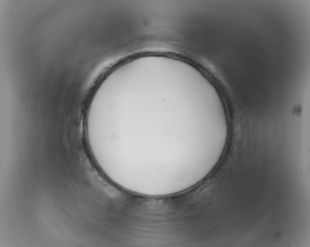 X0000112391408200909101359