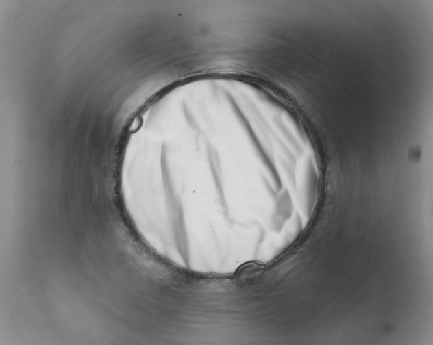 X0000112391410200909101359