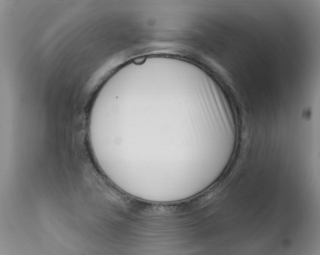 X0000112391411200909101359