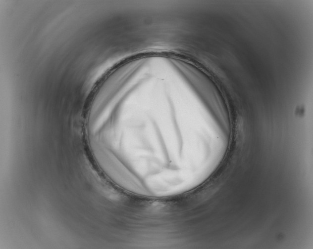 X0000112391412200909101359