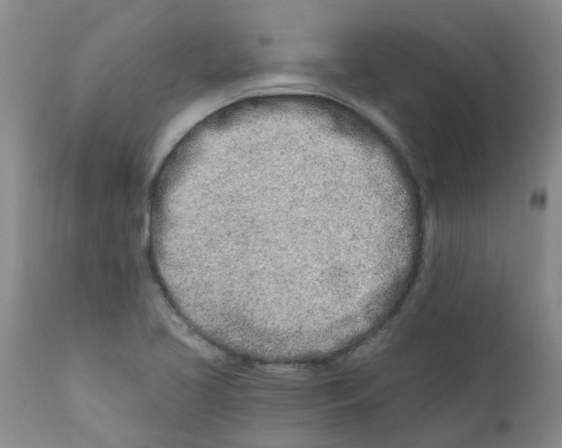 X0000112391413200909101359