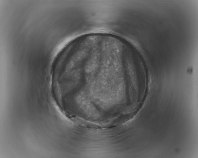X0000112391414200909101359