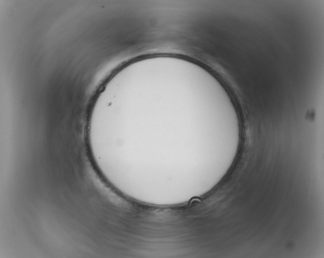 X0000112391416200909101400