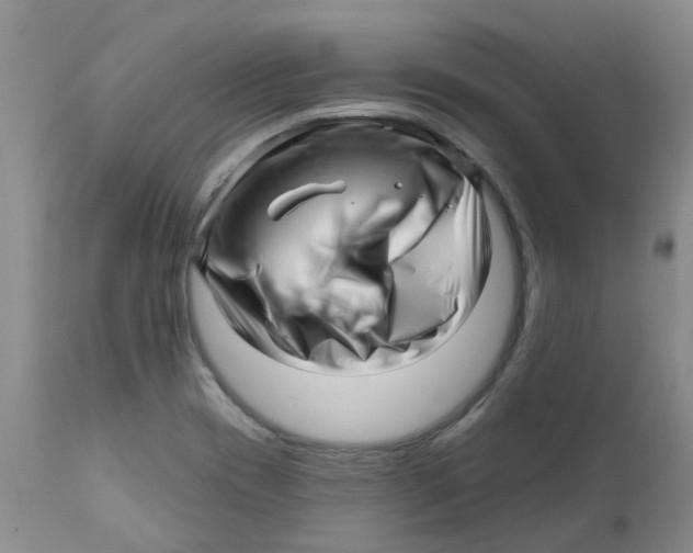 X0000112391417200909101400