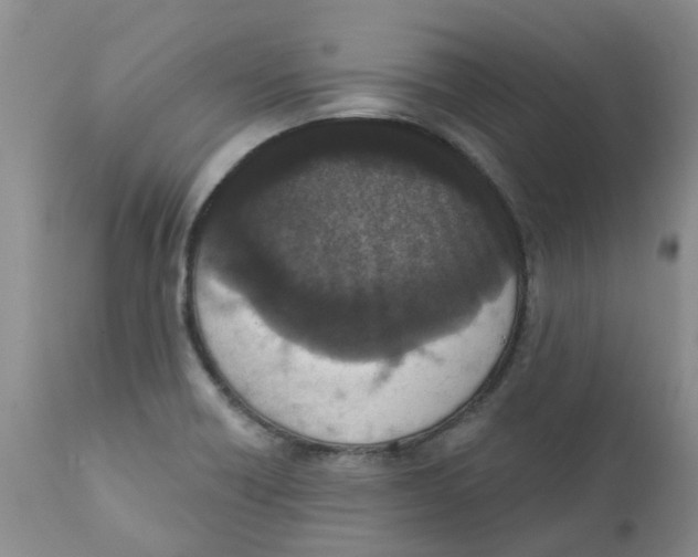 X0000112391418200909101400