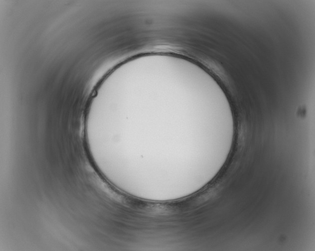 X0000112391420200909101400