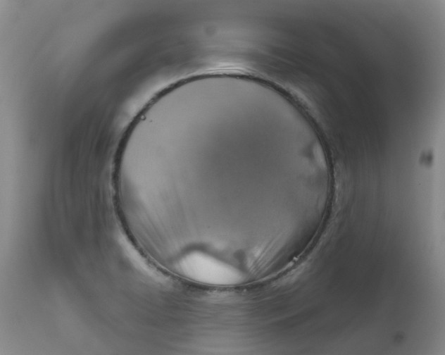 X0000112391422200909101400