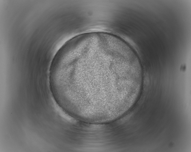 X0000112391423200909101400