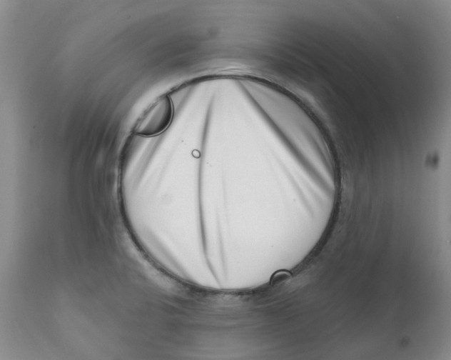 X0000112391424200909101400