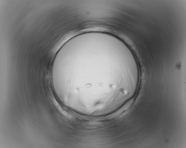 X0000112391425200909101400