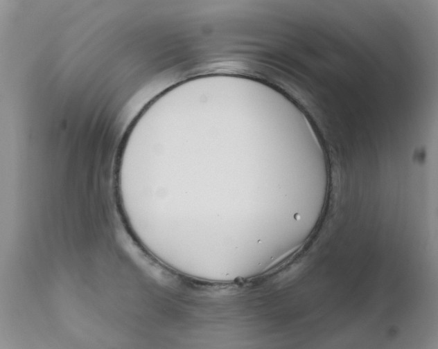 X0000112391426200909101400
