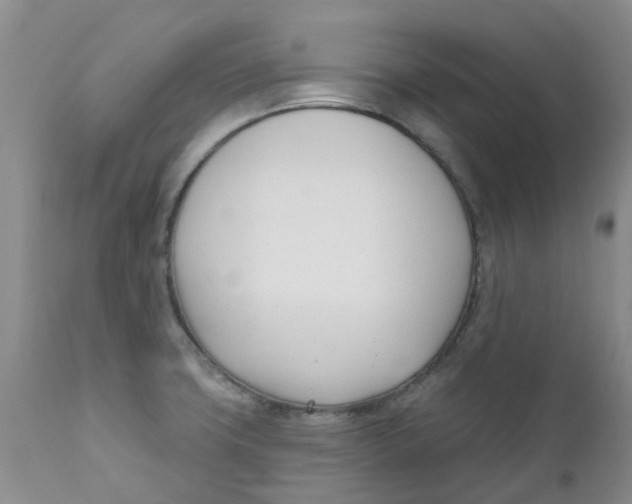 X0000112391427200909101400