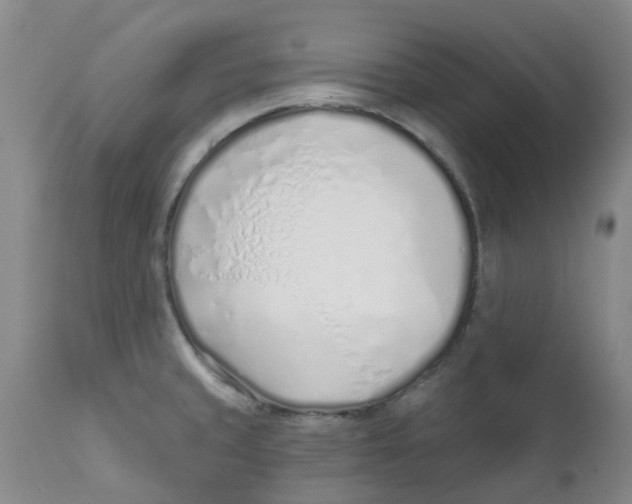 X0000112391429200909101400
