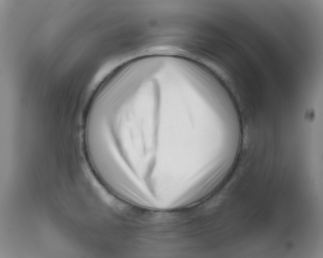 X0000112391430200909101400