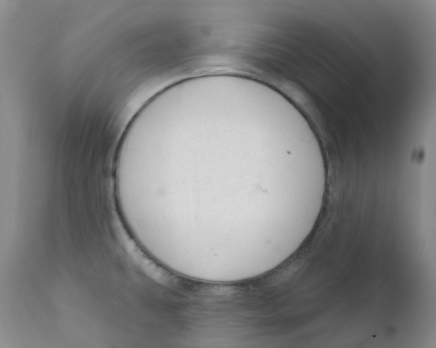 X0000112391431200909101400