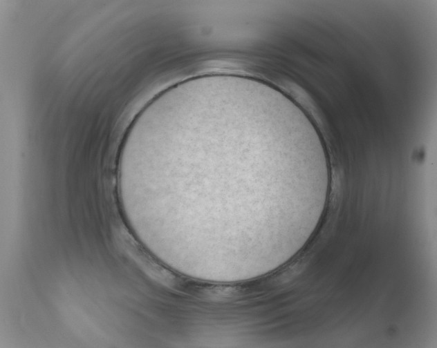 X0000112391435200909101400