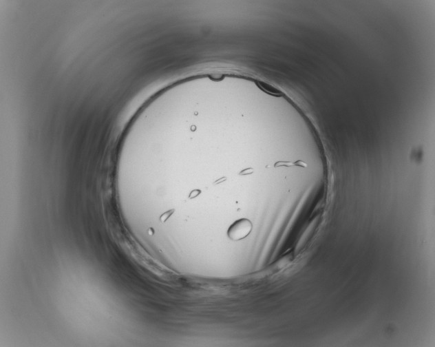 X0000112391438200909101400