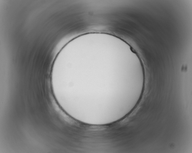 X0000112391440200909101400