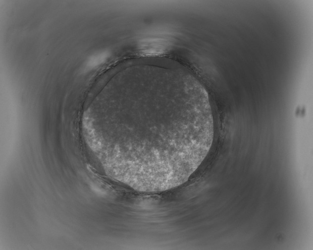 X0000112391441200909101359