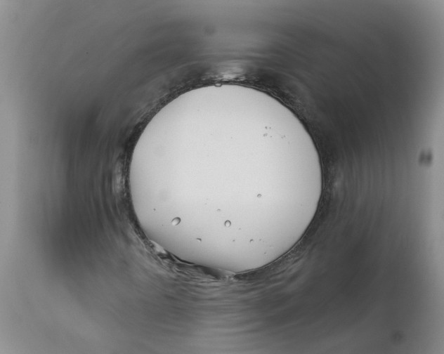 X0000112391442200909101359
