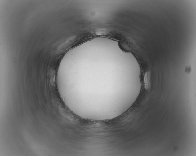 X0000112391443200909101359