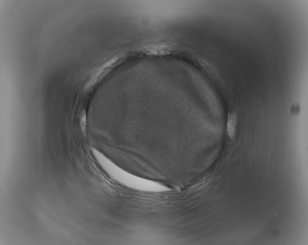 X0000112391444200909101359