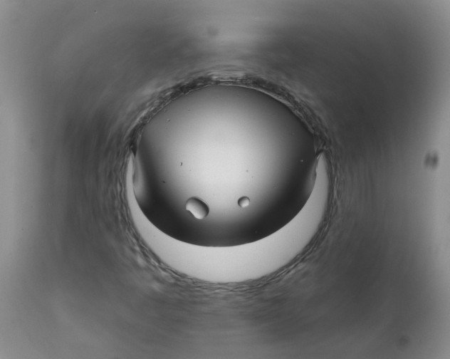X0000112391445200909101359
