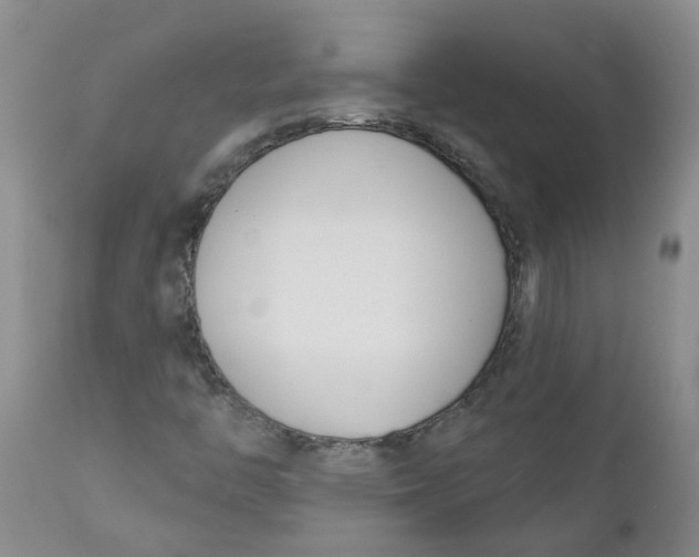 X0000112391446200909101359